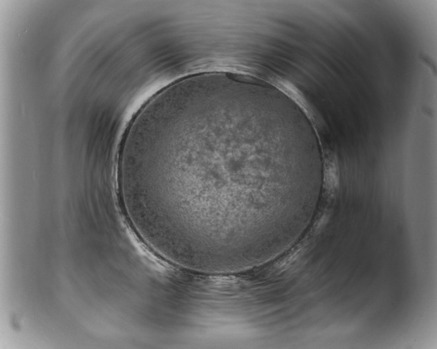 X0000100851144200806201208