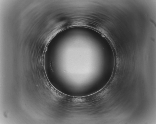 X0000100851145200806201208