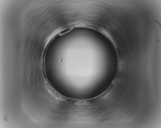 X0000100851146200806201208