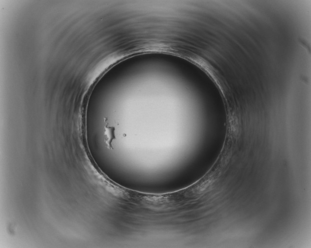 X0000100851147200806201208