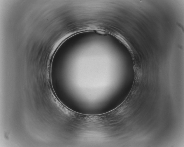X0000100851148200806201208