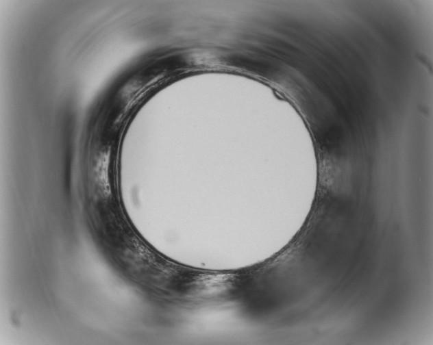 X0000100851150200806201208