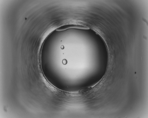 X0000100851152200806201208