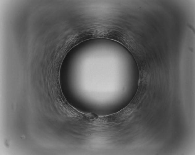 X0000100851153200806201207