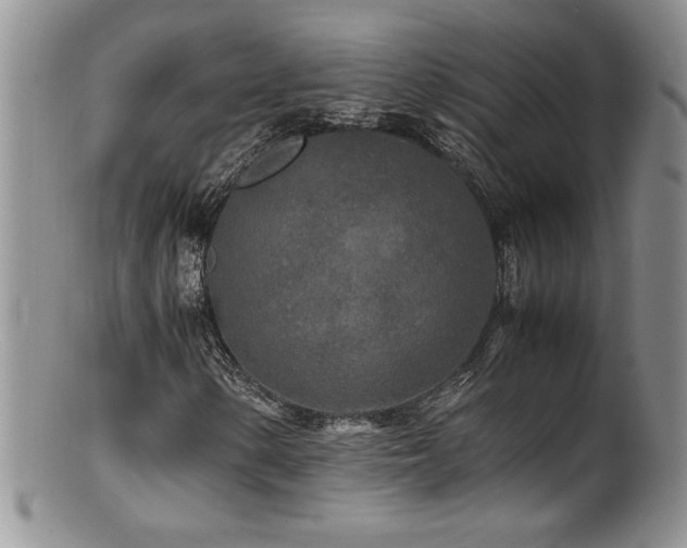 X0000100851154200806201207