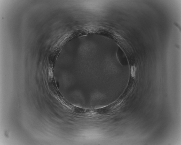 X0000100851155200806201207