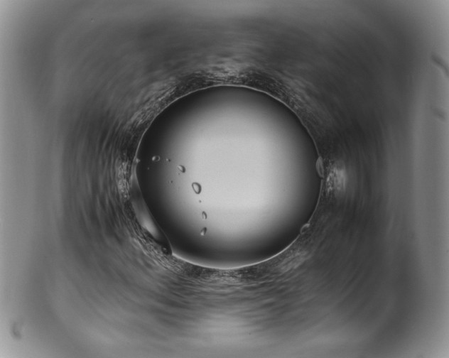 X0000100851156200806201207