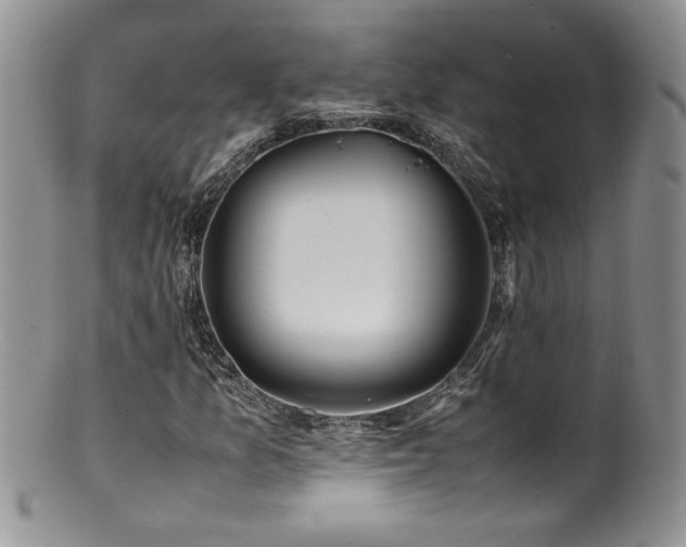 X0000100851157200806201207