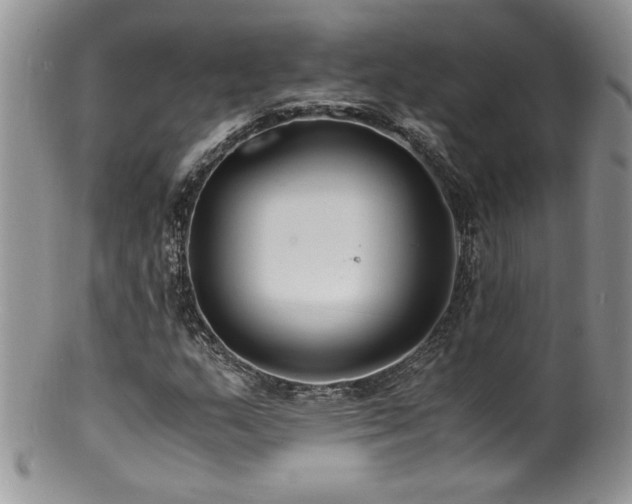 X0000100851159200806201207