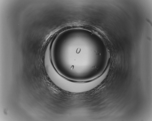 X0000100851160200806201207