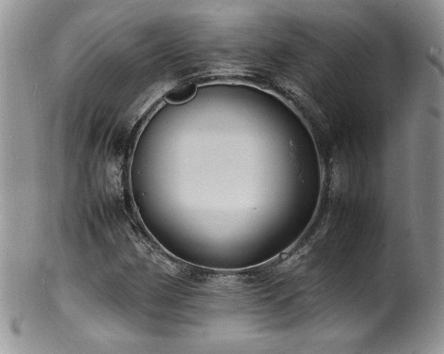 X0000100851162200806201207
