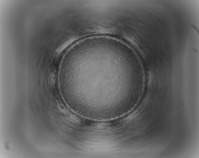 X0000100851163200806201207