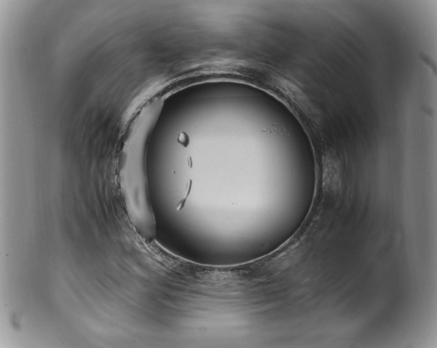 X0000100851164200806201207