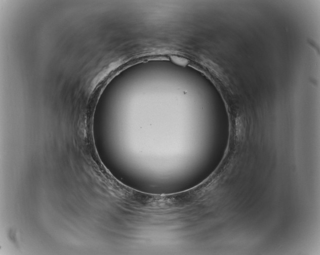 X0000100851165200806201207