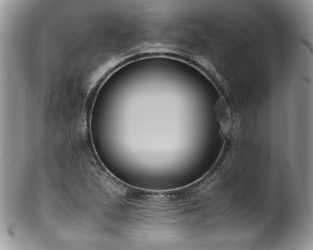 X0000100851167200806201207