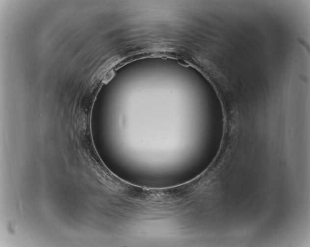 X0000100851169200806201207
