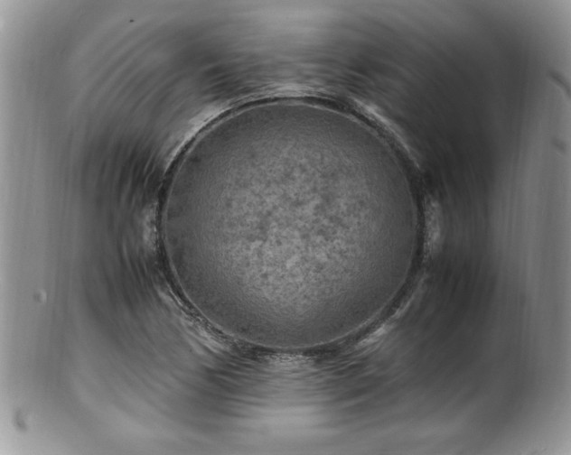 X0000100851170200806201207