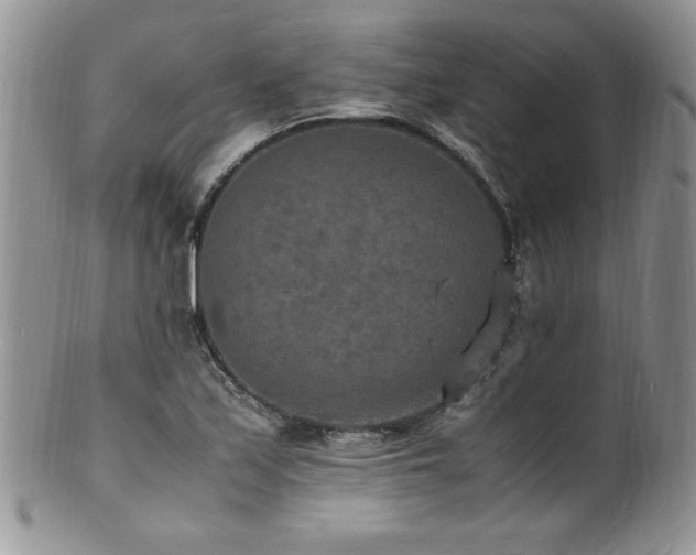 X0000100851171200806201207