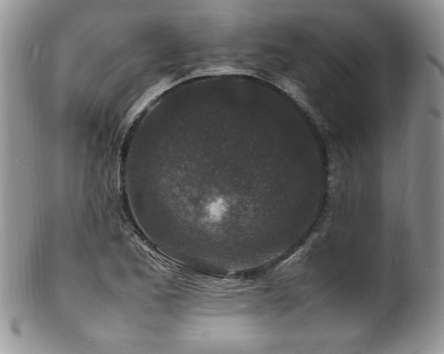 X0000100851173200806201207
