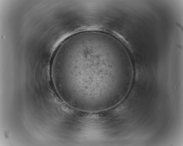 X0000100851174200806201207