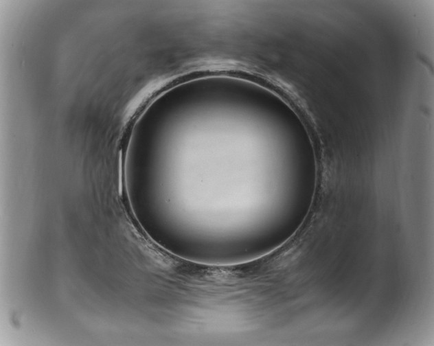 X0000100851175200806201207