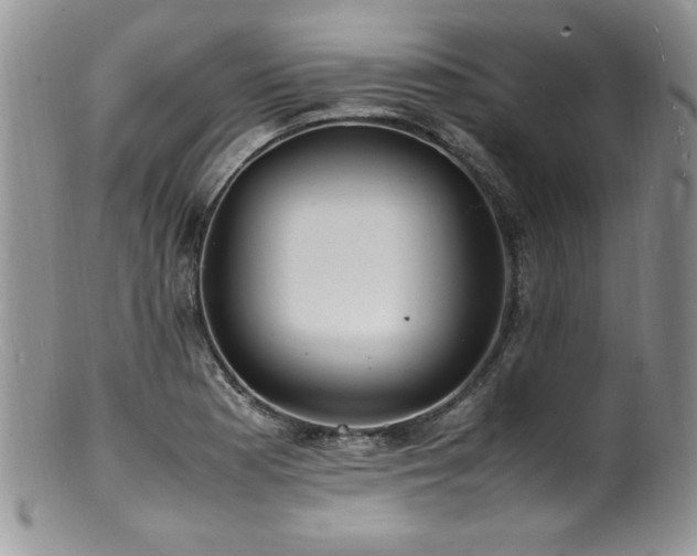 X0000100851177200806201207