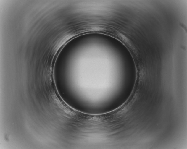 X0000100851178200806201207