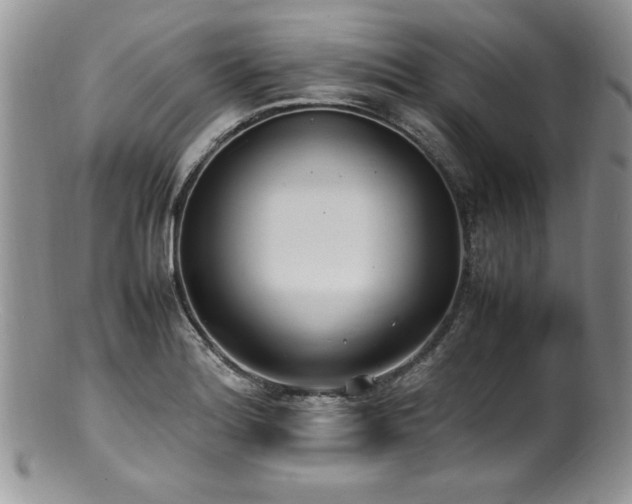 X0000100851180200806201207