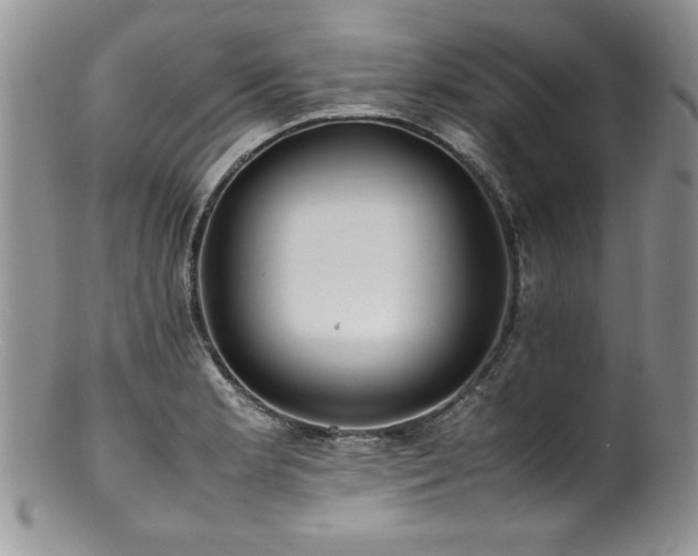 X0000100851181200806201207