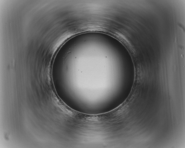 X0000100851182200806201207