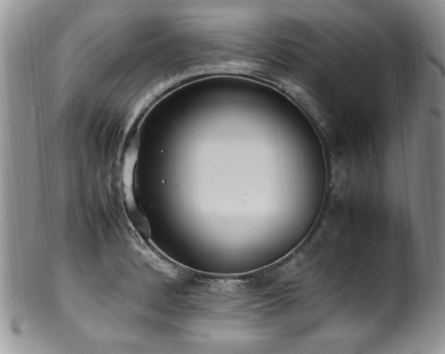 X0000100851184200806201207