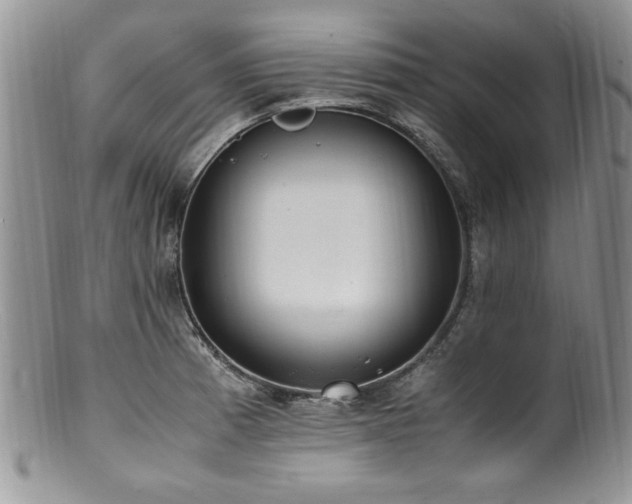 X0000100851185200806201207