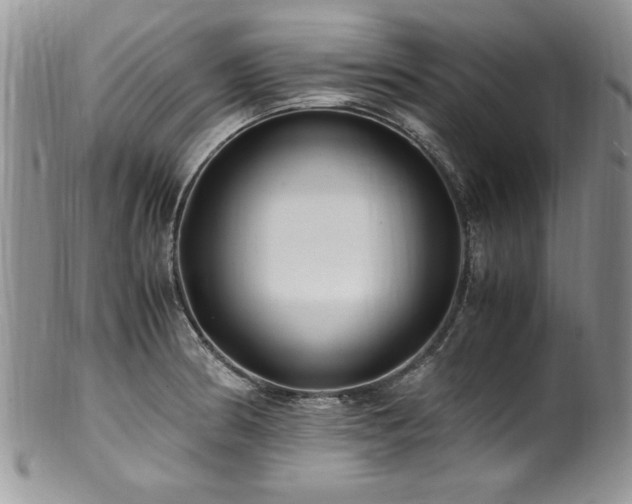 X0000100851186200806201207