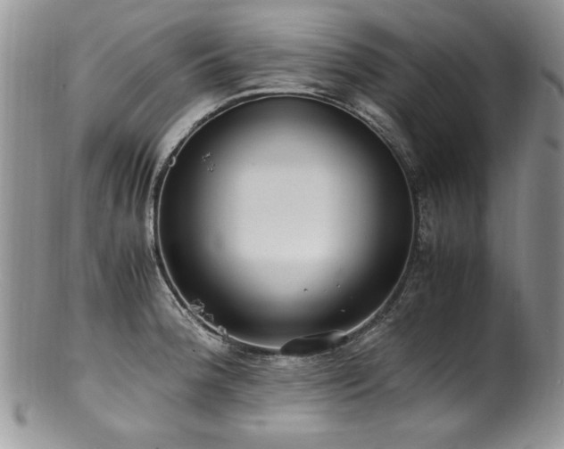 X0000100851188200806201207