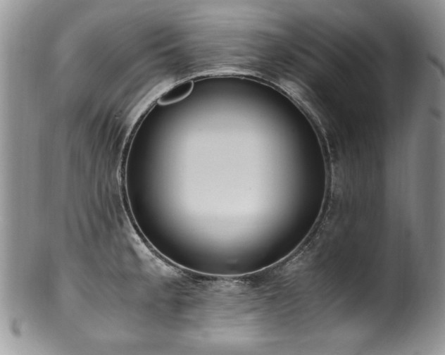 X0000100851189200806201207