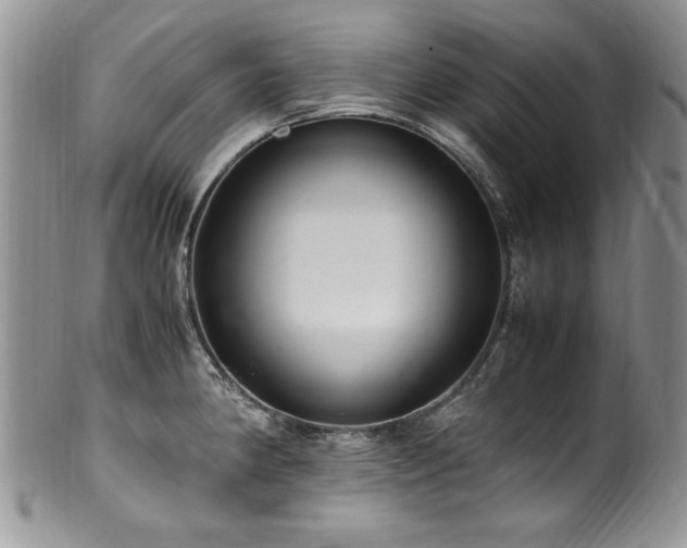 X0000100851190200806201207