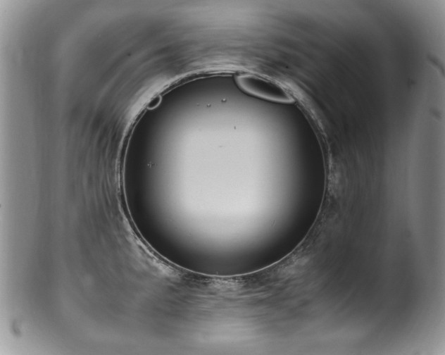 X0000100851191200806201207