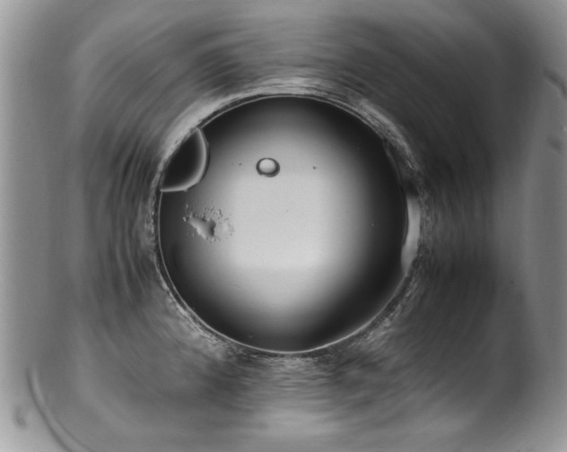 X0000100851192200806201207