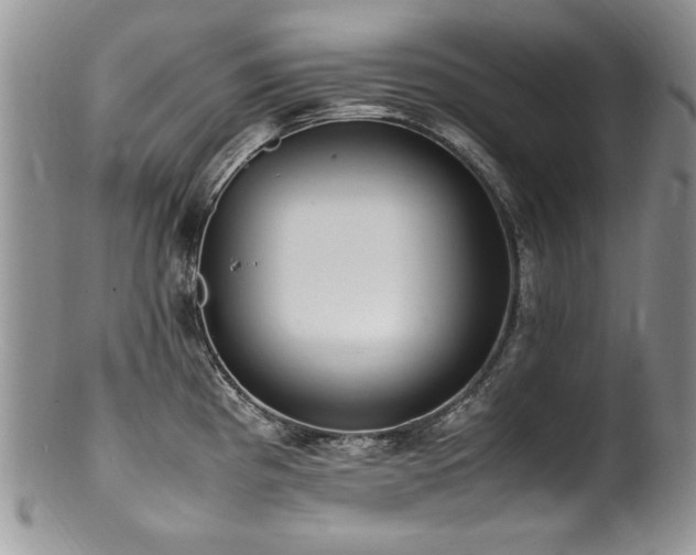 X0000100851193200806201207