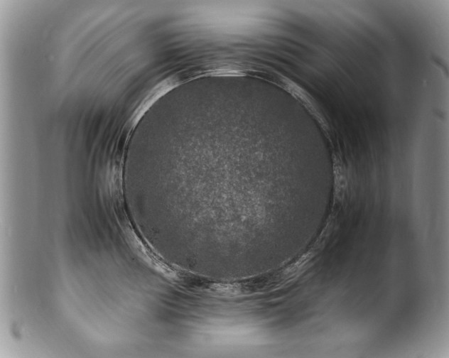 X0000100851194200806201207