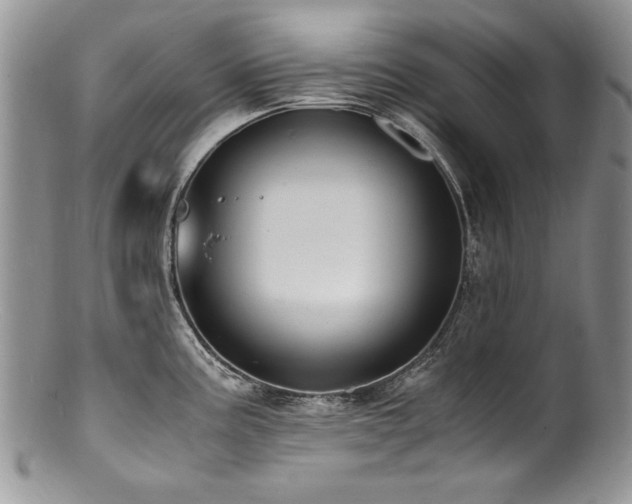 X0000100851195200806201207