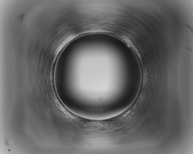 X0000100851197200806201207
