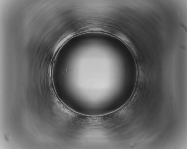 X0000100851198200806201207