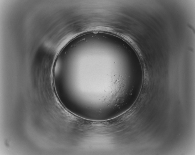 X0000100851199200806201207