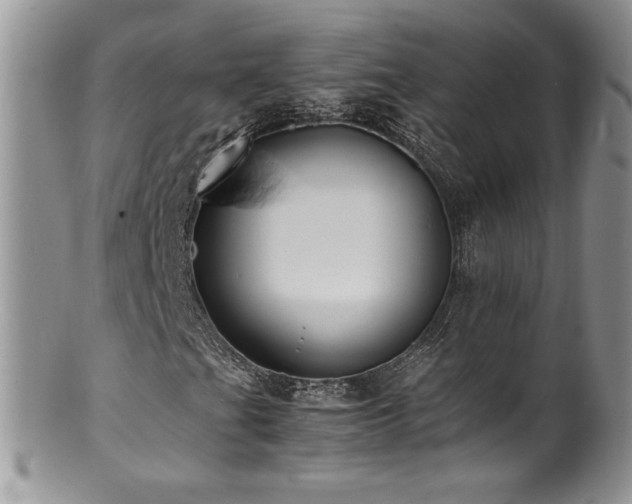 X0000100851201200806201206
