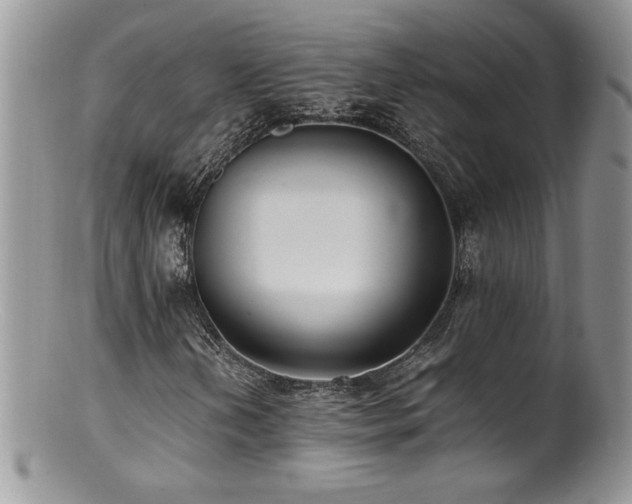 X0000100851202200806201206