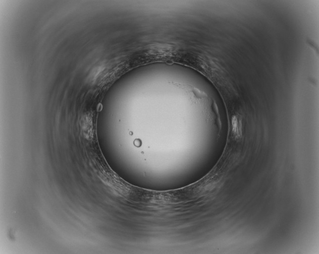 X0000100851203200806201206