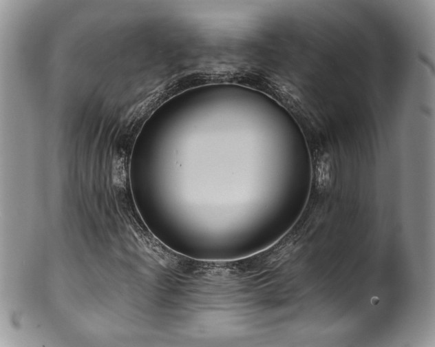 X0000100851204200806201206