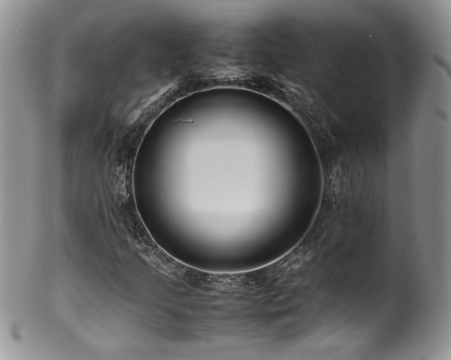 X0000100851205200806201206