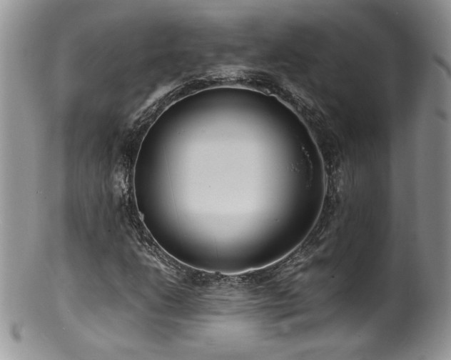 X0000100851206200806201206